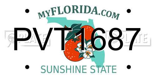 PVT1687 Florida License Plate