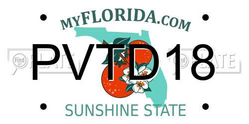 PVTD18 Florida License Plate