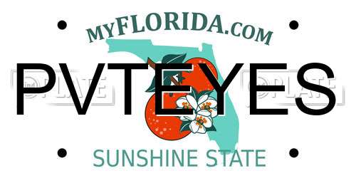 PVTEYES Florida License Plate