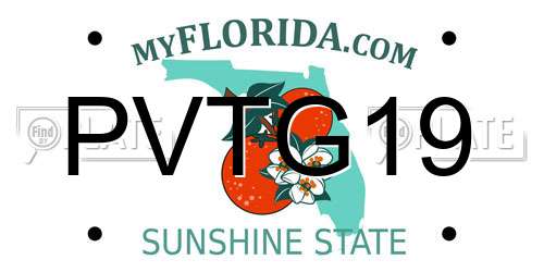 PVTG19 Florida License Plate