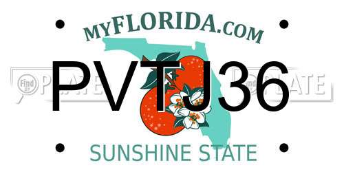 PVTJ36 Florida License Plate