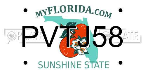 PVTJ58 Florida License Plate