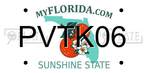 PVTK06 Florida License Plate