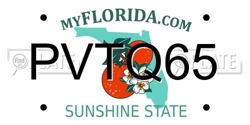 PVTQ65 Florida License Plate