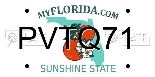 PVTQ71 Florida License Plate