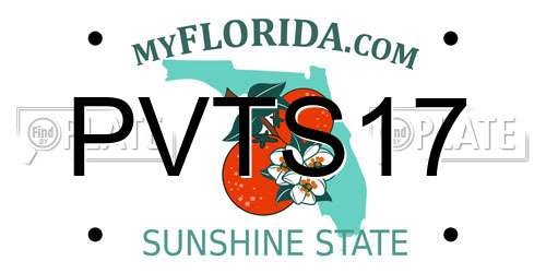 PVTS17 Florida License Plate
