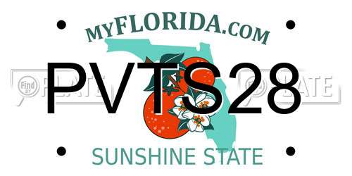PVTS28 Florida License Plate