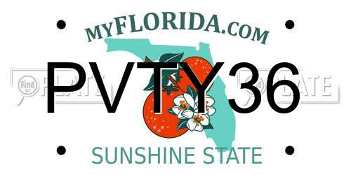PVTY36 Florida License Plate