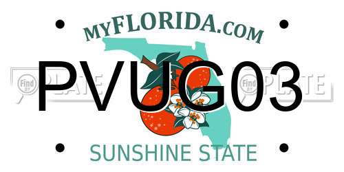 PVUG03 Florida License Plate