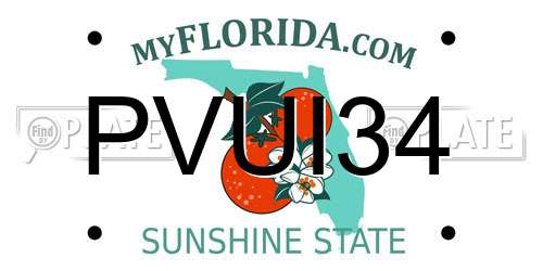 PVUI34 Florida License Plate