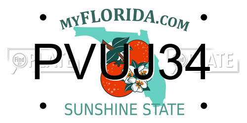 PVUJ34 Florida License Plate