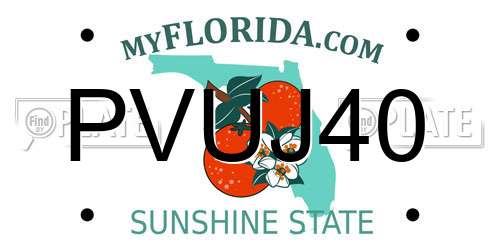 PVUJ40 Florida License Plate