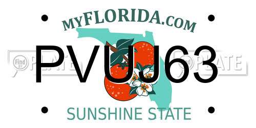 PVUJ63 Florida License Plate