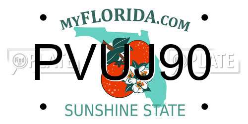 PVUJ90 Florida License Plate