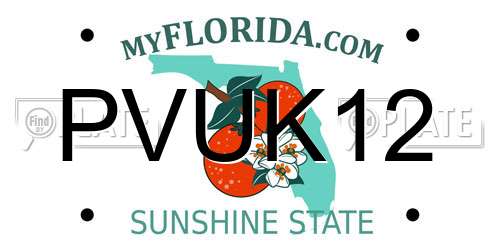 PVUK12 Florida License Plate