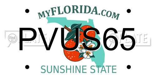 PVUS65 Florida License Plate