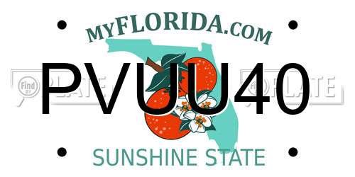 PVUU40 Florida License Plate