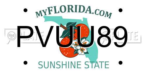 PVUU89 Florida License Plate