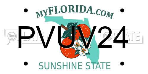 PVUV24 Florida License Plate