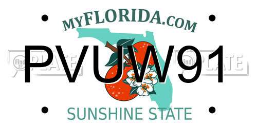 PVUW91 Florida License Plate