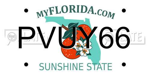 PVUY66 Florida License Plate