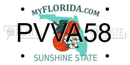 PVVA58 Florida License Plate