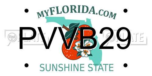PVVB29 Florida License Plate