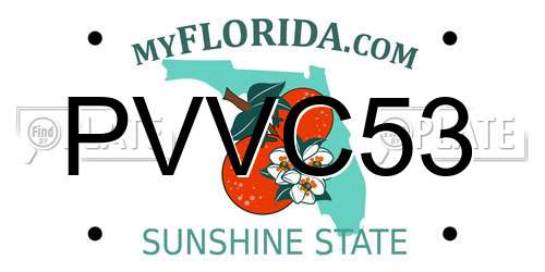PVVC53 Florida License Plate