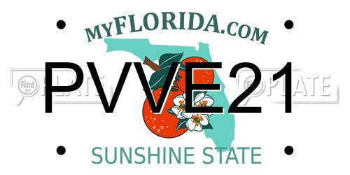 PVVE21 Florida License Plate