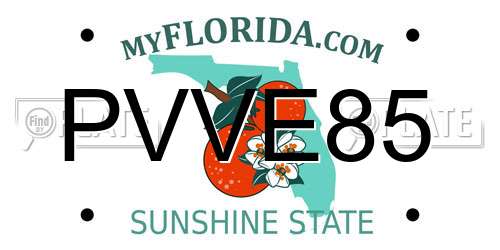 PVVE85 Florida License Plate