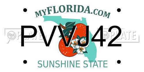 PVVJ42 Florida License Plate