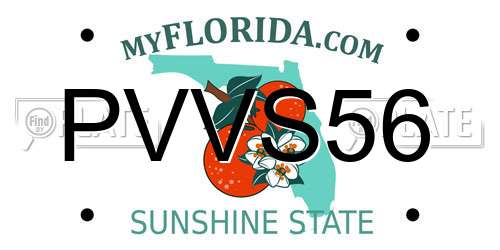 PVVS56 Florida License Plate