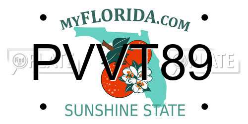 PVVT89 Florida License Plate
