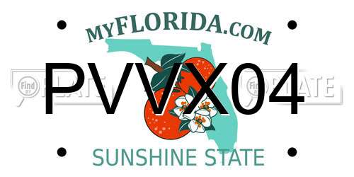 PVVX04 Florida License Plate