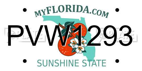 PVW1293 Florida License Plate
