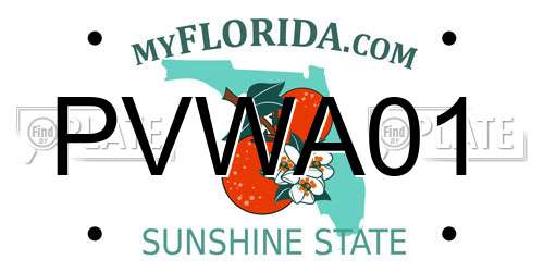 PVWA01 Florida License Plate