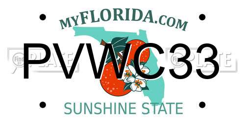 PVWC33 Florida License Plate