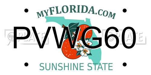 PVWG60 Florida License Plate