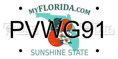 PVWG91 Florida License Plate