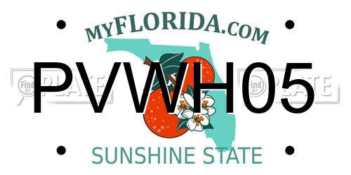 PVWH05 Florida License Plate
