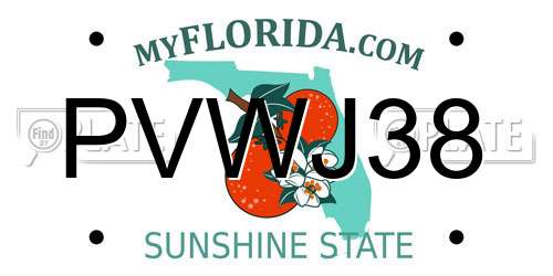 PVWJ38 Florida License Plate
