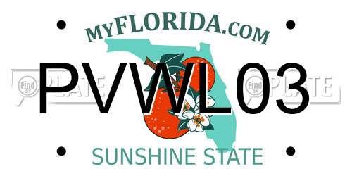 PVWL03 Florida License Plate