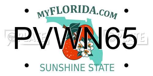 PVWN65 Florida License Plate