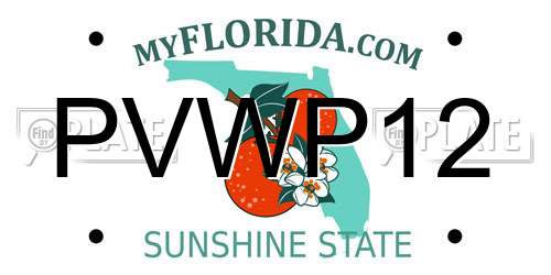 PVWP12 Florida License Plate