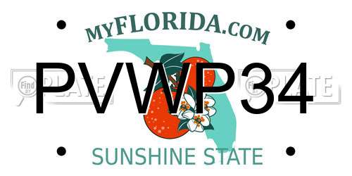 PVWP34 Florida License Plate