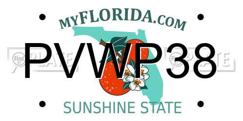 PVWP38 Florida License Plate
