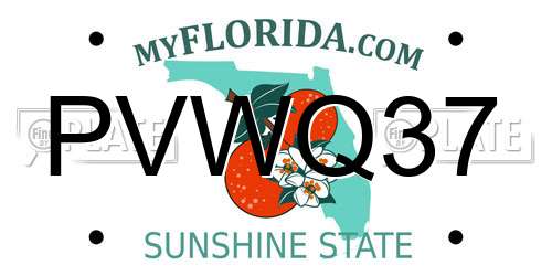 PVWQ37 Florida License Plate
