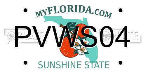 PVWS04 Florida License Plate