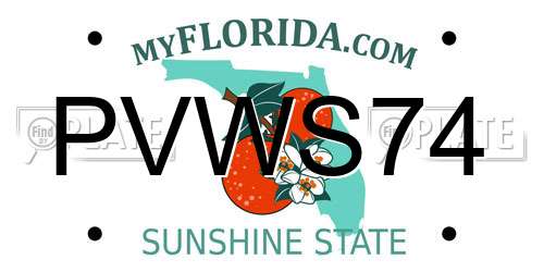 PVWS74 Florida License Plate