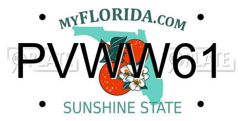PVWW61 Florida License Plate